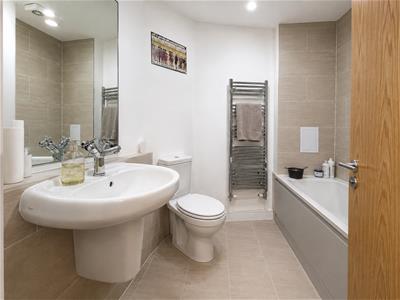 Picture 7